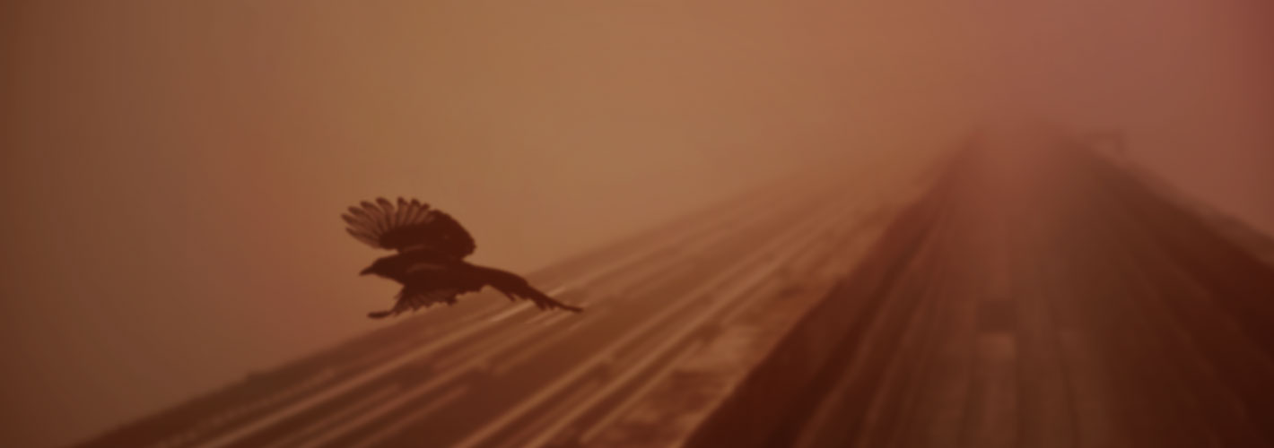 bg-service-info