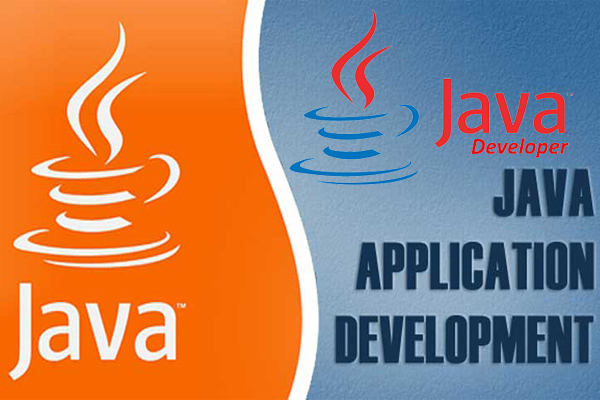 Java-Developer-pixxelznet