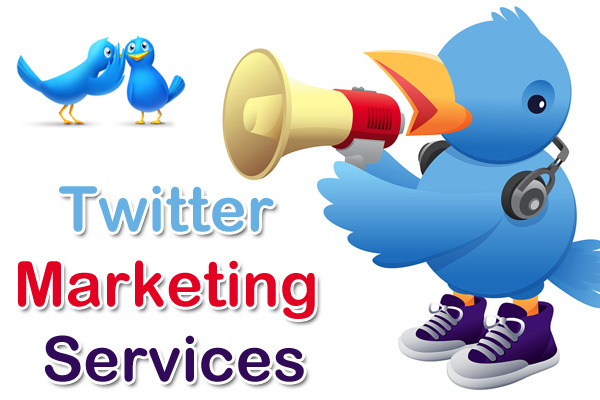 twitter marketing services